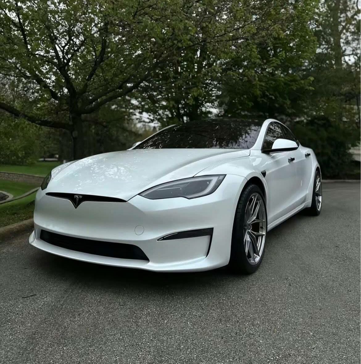 Model S Plaid additional